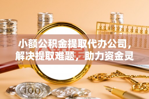 鸟松小额公积金提取代办公司，解决提取难题，助力资金灵活使用