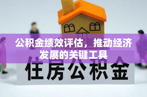 鸟松公积金绩效评估，推动经济发展的关键工具
