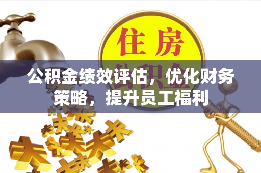鸟松公积金绩效评估，优化财务策略，提升员工福利