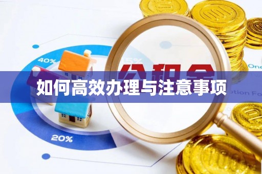 鸟松如何高效办理与注意事项