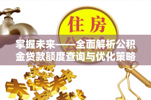 鸟松掌握未来——全面解析公积金贷款额度查询与优化策略