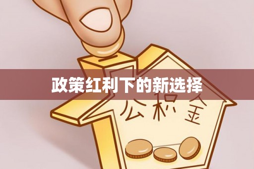 鸟松政策红利下的新选择