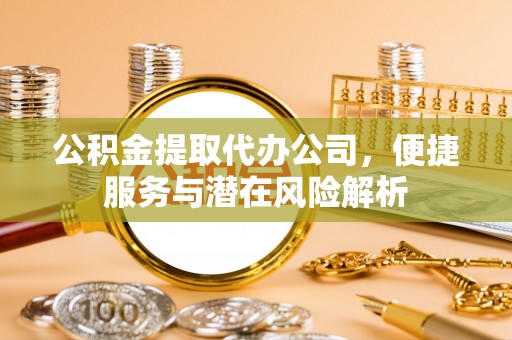 鸟松公积金提取代办公司，便捷服务与潜在风险解析