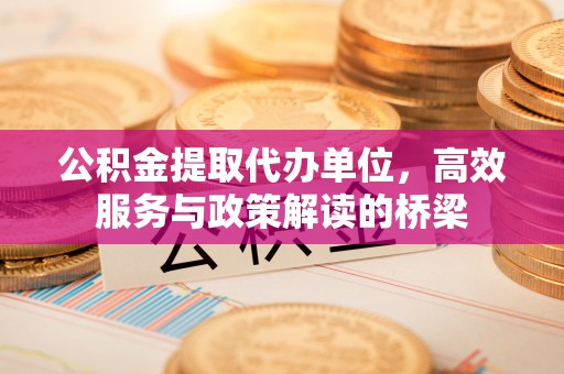 鸟松公积金提取代办单位，高效服务与政策解读的桥梁