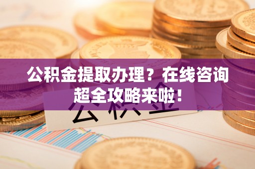 鸟松公积金提取办理？在线咨询超全攻略来啦！