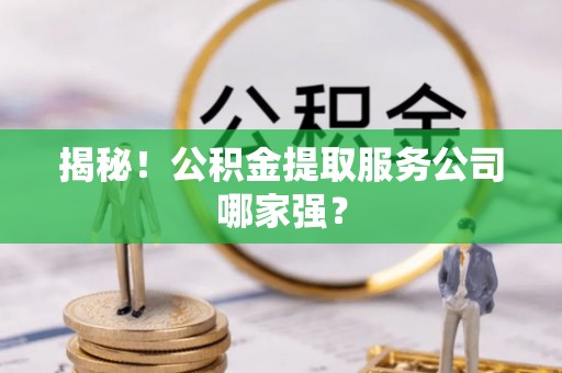 鸟松揭秘！公积金提取服务公司哪家强？