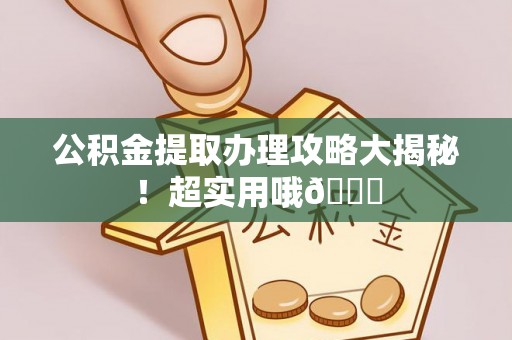 鸟松公积金提取办理攻略大揭秘！超实用哦😉