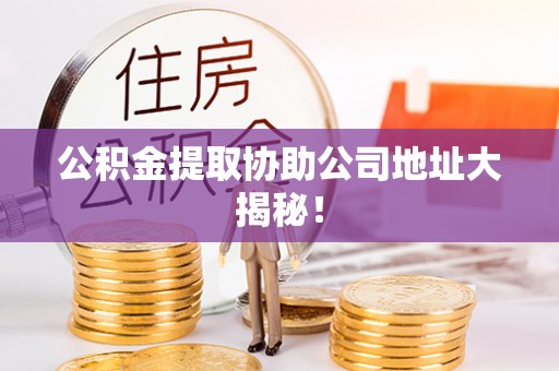 鸟松公积金提取协助公司地址大揭秘！
