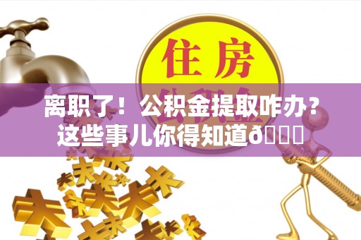 鸟松离职了！公积金提取咋办？这些事儿你得知道😎