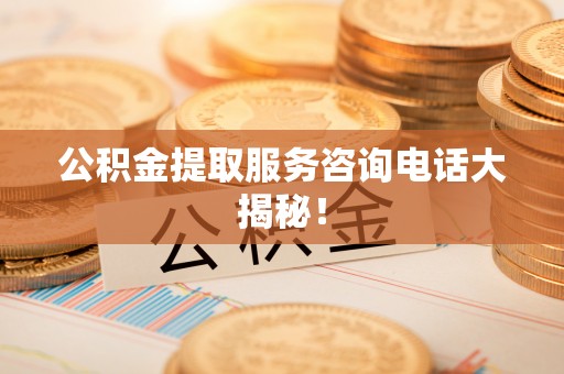 鸟松公积金提取服务咨询电话大揭秘！