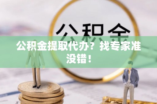 鸟松公积金提取代办？找专家准没错！