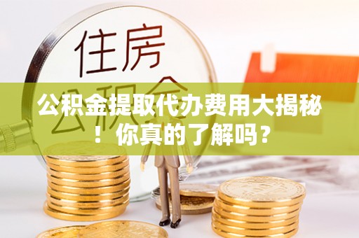 鸟松公积金提取代办费用大揭秘！你真的了解吗？