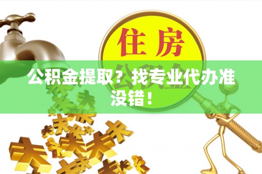 鸟松公积金提取？找专业代办准没错！
