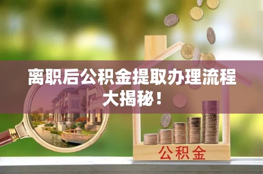鸟松离职后公积金提取办理流程大揭秘！