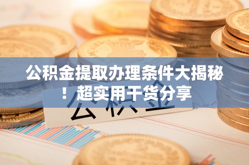 鸟松公积金提取办理条件大揭秘！超实用干货分享