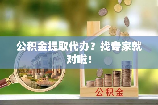鸟松公积金提取代办？找专家就对啦！