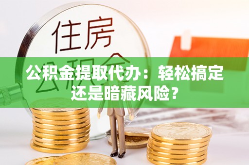 鸟松公积金提取代办：轻松搞定还是暗藏风险？