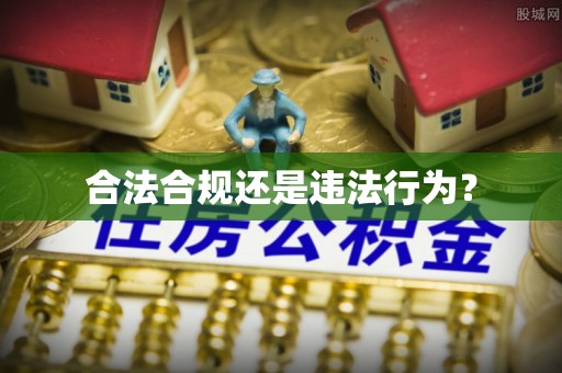 鸟松合法合规还是违法行为？