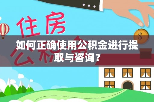 鸟松如何正确使用公积金进行提取与咨询？