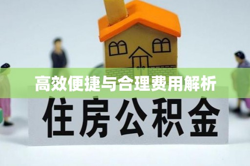 鸟松高效便捷与合理费用解析