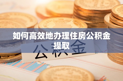 鸟松如何高效地办理住房公积金提取