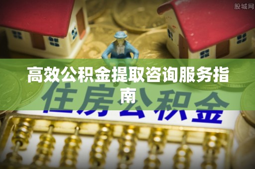 鸟松高效公积金提取咨询服务指南